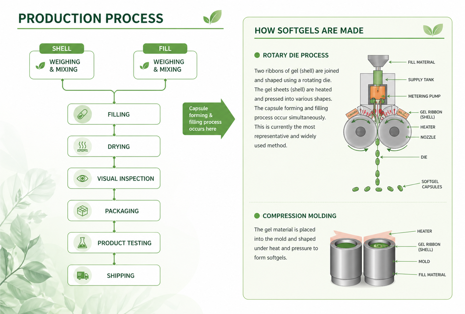 Plant softgel manufacturing process — production flow from weighing through filling, drying, inspection, packaging, testing to shipping; with rotary die and compression molding diagrams
